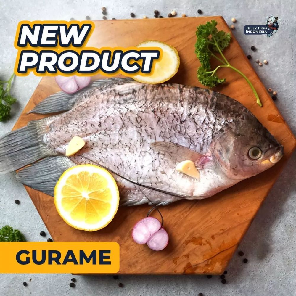 10 Trik ampuh menghilangkan lendir dan bau lumpur pada ikan gurame