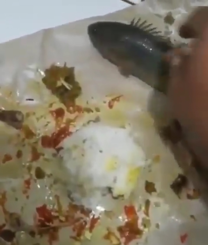 makanan kaki lima nyeleneh © berbagai sumber