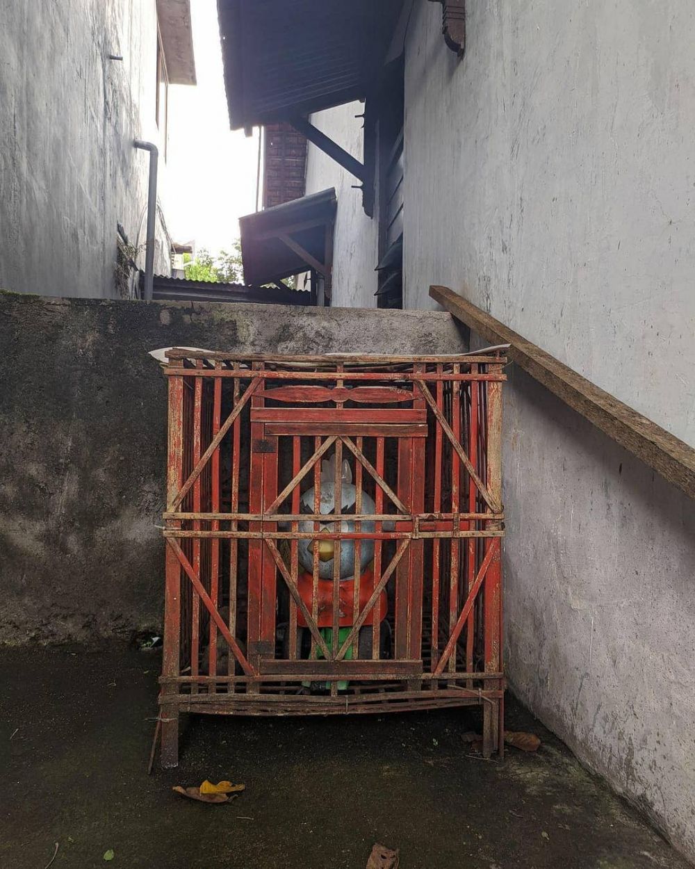 penampakan nyeleneh di kandang © berbagai sumber