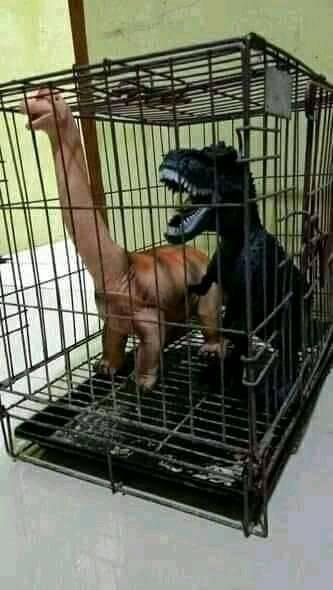 penampakan nyeleneh di kandang © berbagai sumber