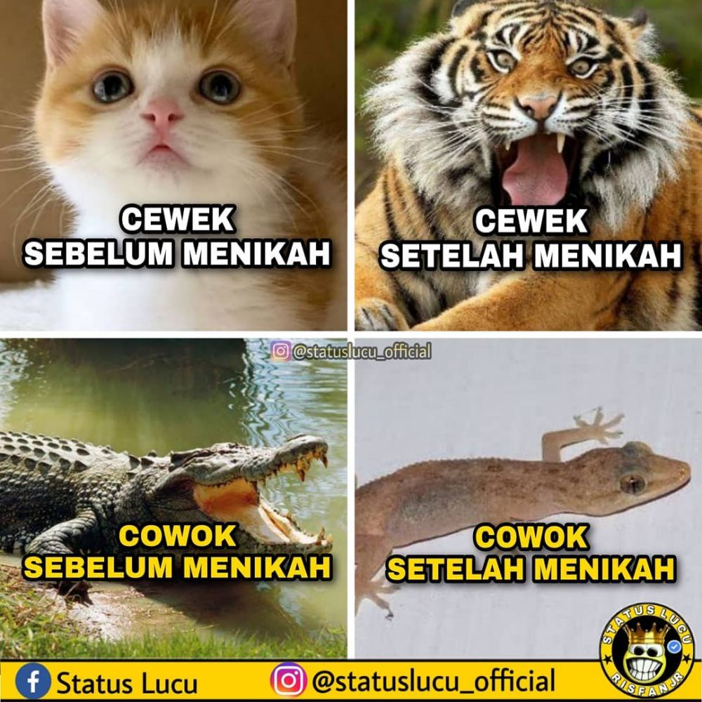 meme beda cewek cowok keseharian © berbagai sumber