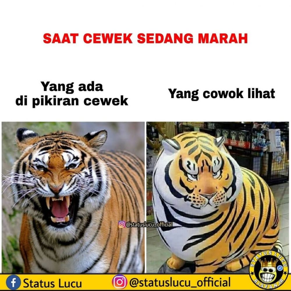 meme beda cewek cowok keseharian © berbagai sumber
