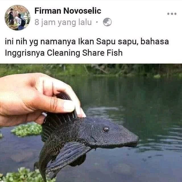 orang mengoleksi barang nyeleneh © Instagram