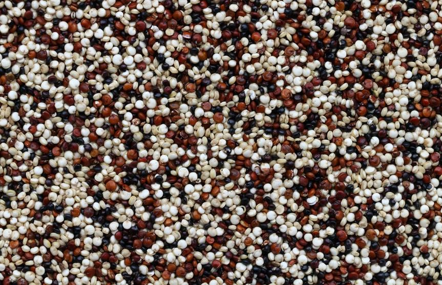 Selain buah dan sayur, 10 makanan ini ternyata tinggi kandungan serat