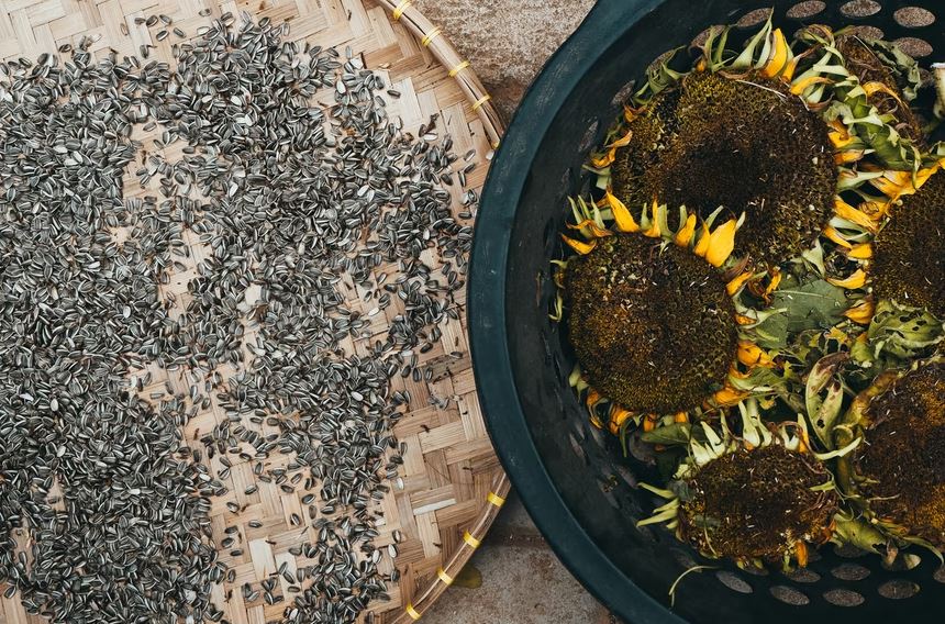 Selain buah dan sayur, 10 makanan ini ternyata tinggi kandungan serat