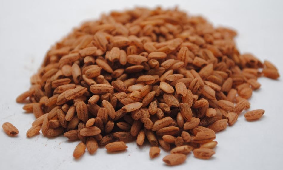 Selain buah dan sayur, 10 makanan ini ternyata tinggi kandungan serat