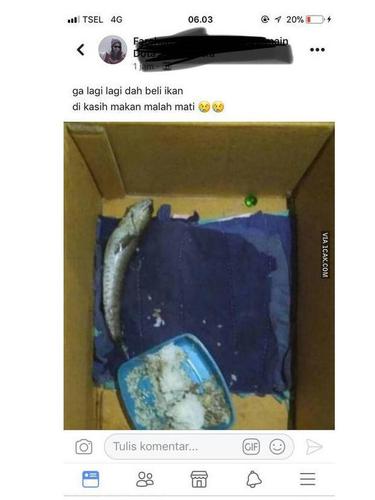 Potret cara unik orang beri makan ikan © berbagai sumber