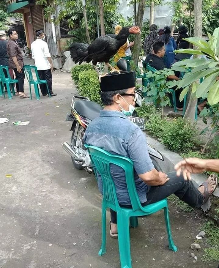 Potret nyeleneh orang saat difoto dari belakang © berbagai sumber Potret nyeleneh orang saat difoto dari belakang © berbagai sumber