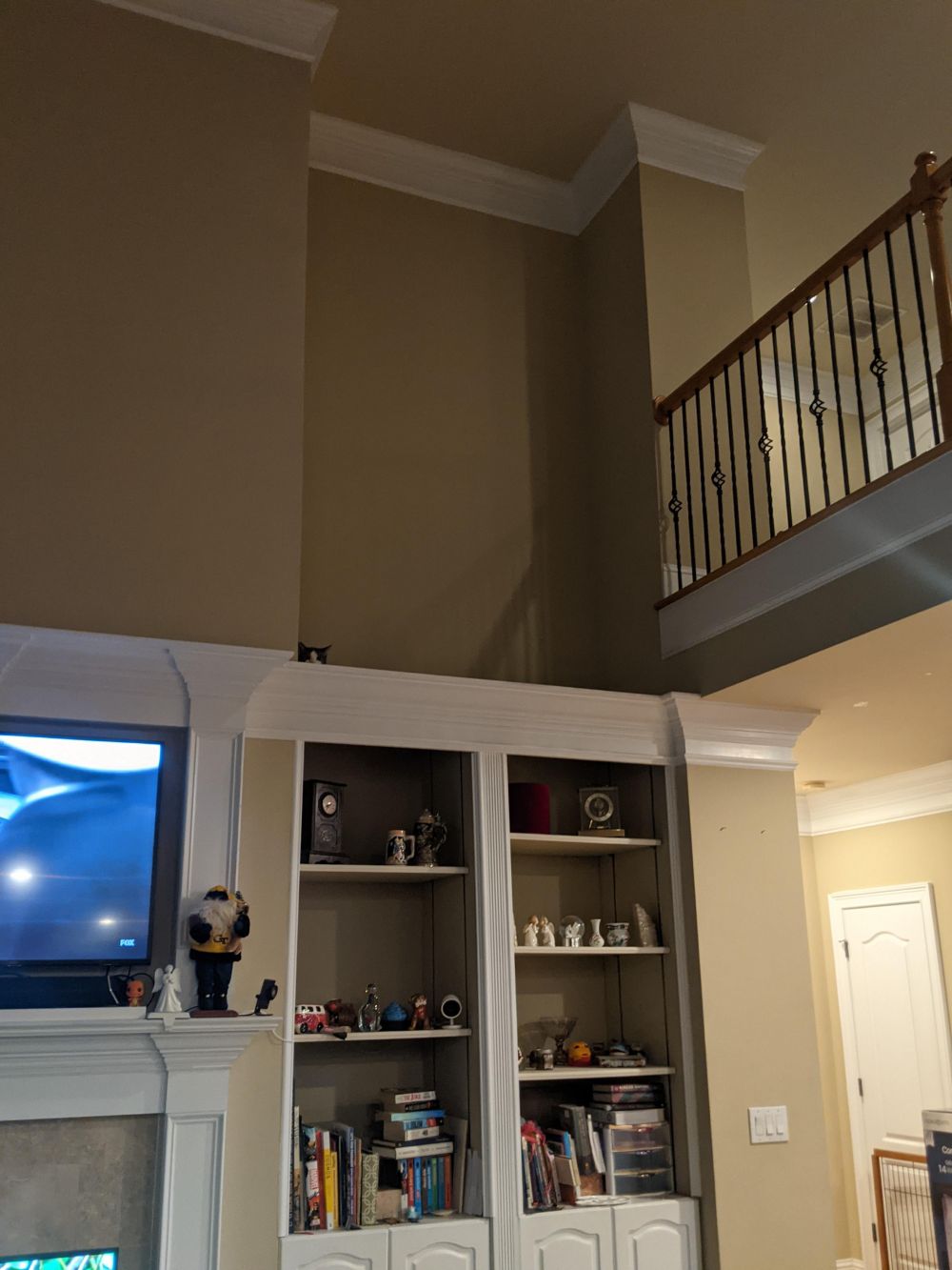 Potret hewan peliharaan gagal bersembunyi © berbagai sumber Potret hewan peliharaan gagal bersembunyi © berbagai sumber