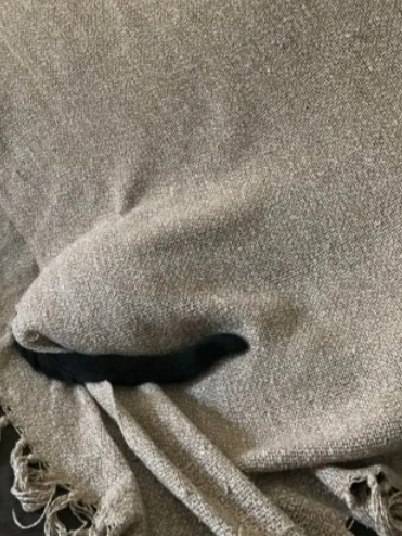 Potret hewan peliharaan gagal bersembunyi © berbagai sumber