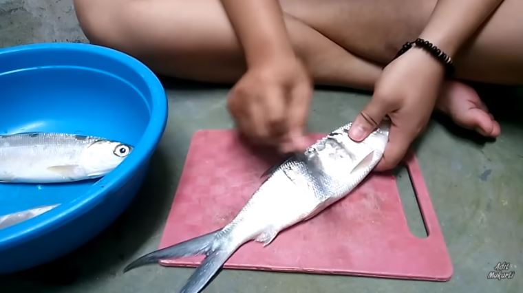 10 Trik menghilangkan duri ikan bandeng tanpa presto, antigagal