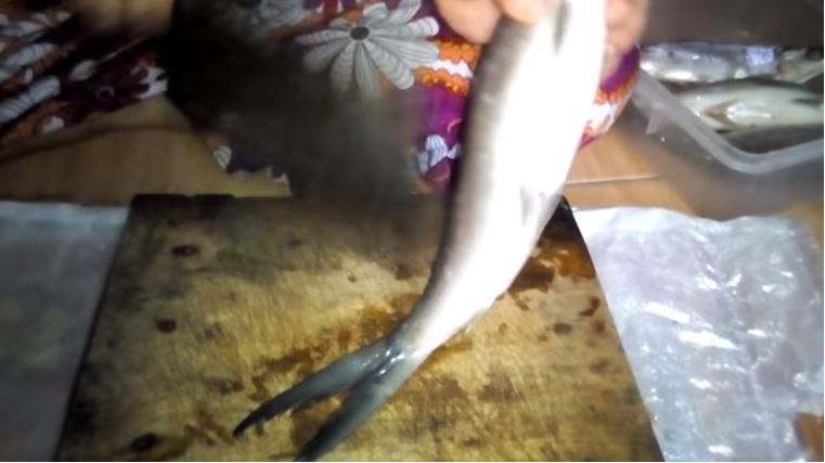 10 Trik menghilangkan duri ikan bandeng tanpa presto, antigagal