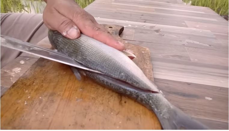 10 Trik menghilangkan duri ikan bandeng tanpa presto, antigagal