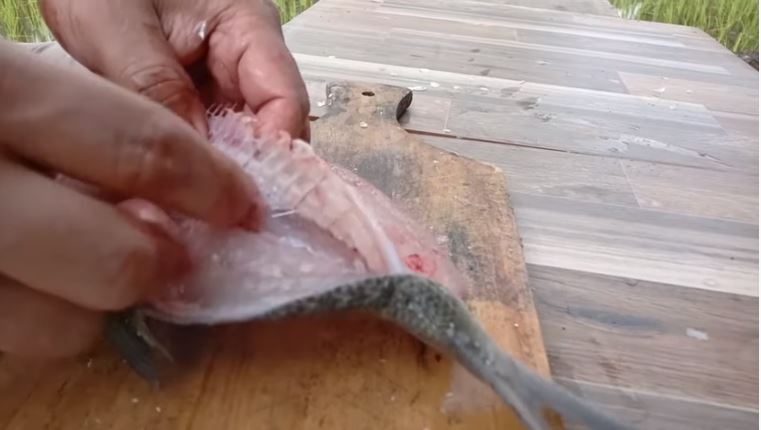 10 Trik menghilangkan duri ikan bandeng tanpa presto, antigagal
