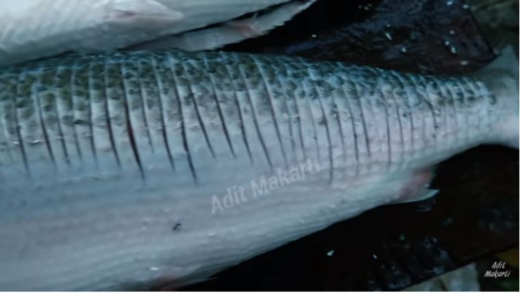10 Trik menghilangkan duri ikan bandeng tanpa presto, antigagal