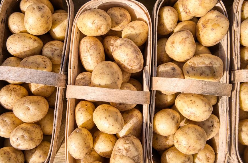 9 Pola makan Ari Lasso setelah operasi kanker, dukung pemulihan tubuh