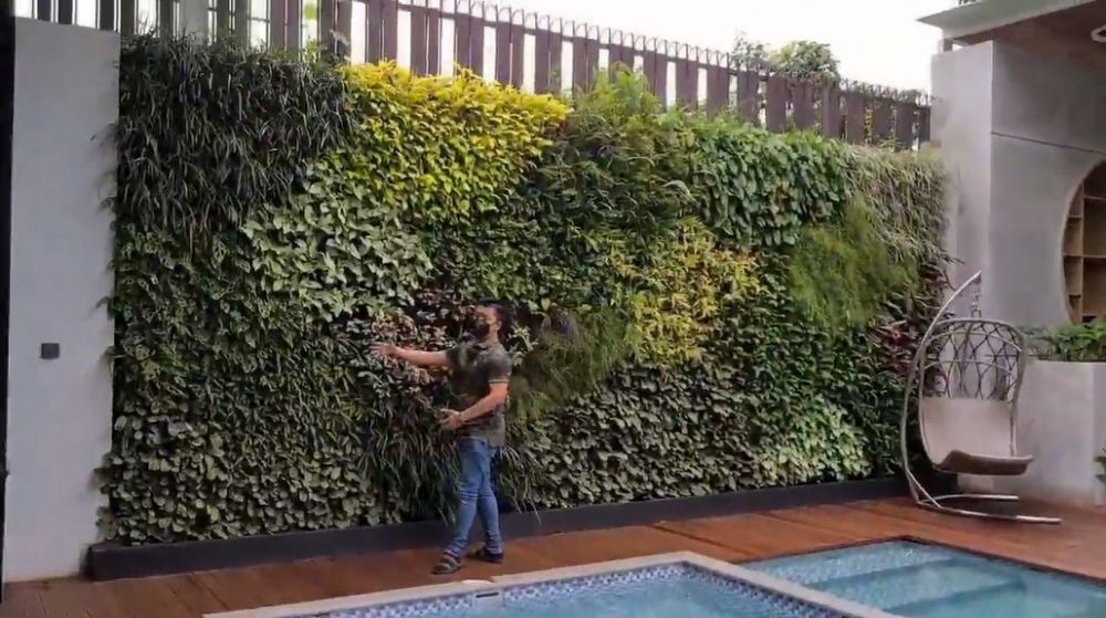 Potret halaman belakang Rachel Venya usai renovasi © berbagai sumber Potret halaman belakang Rachel Venya usai renovasi © berbagai sumber