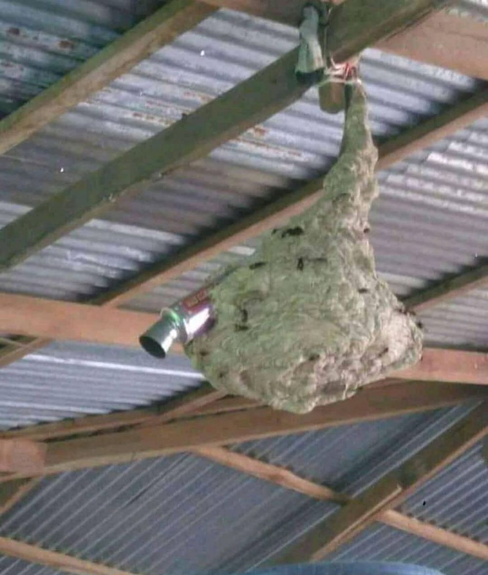 orang simpan barang tapi nyeleneh © berbagai sumber