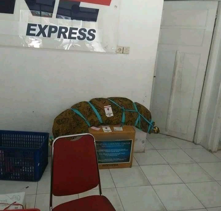 bungkusan paketan nyeleneh © Twitter