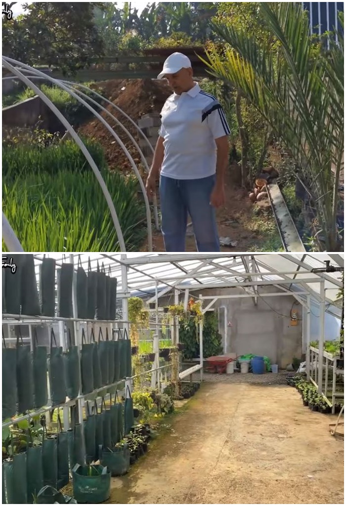 potret kebun sayur di rumah seleb © berbagai sumber potret kebun sayur di rumah seleb © berbagai sumber