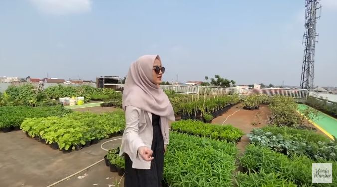 potret kebun sayur di rumah seleb © berbagai sumber potret kebun sayur di rumah seleb © berbagai sumber