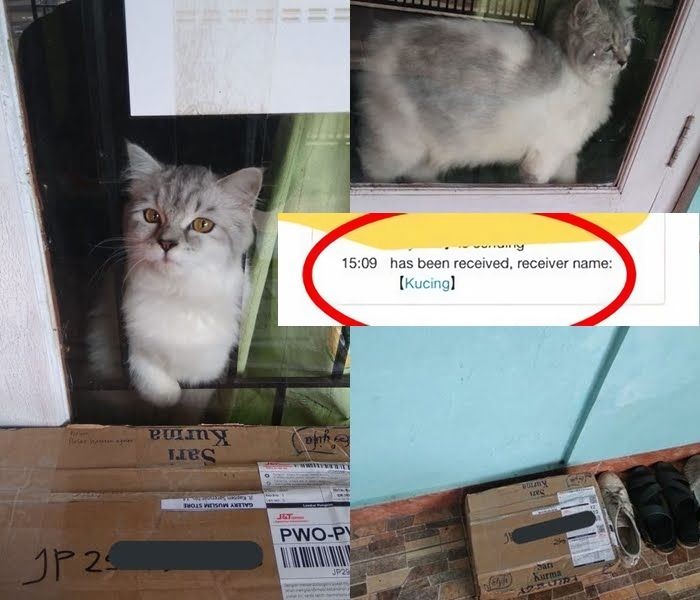 Tulisan kocak kurir isi nama penerima paket © Twitter Tulisan kocak kurir isi nama penerima paket © Twitter