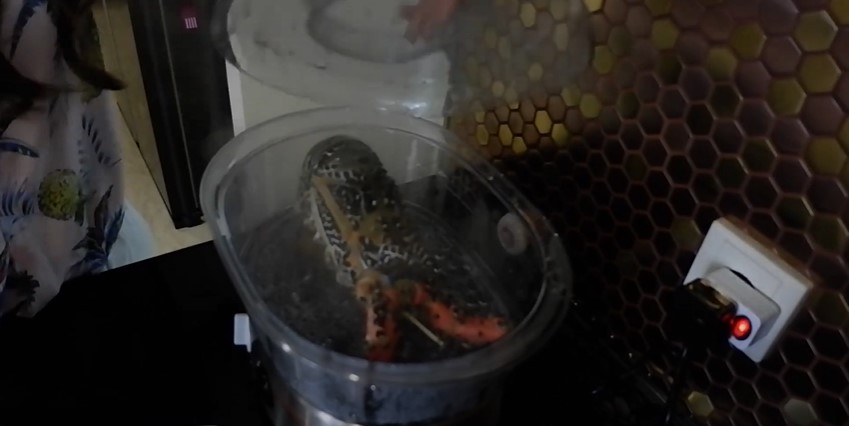 10 Cara masak ala Cathy Sharon buat anak, aman untuk pencernaan