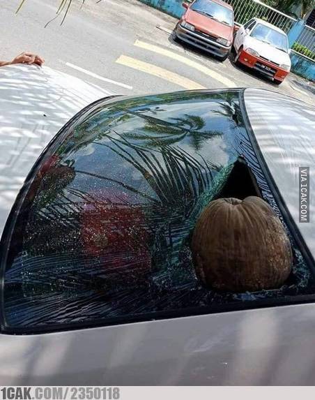 parkir mobil malah kena apes © berbagai sumber parkir mobil malah kena apes © berbagai sumber