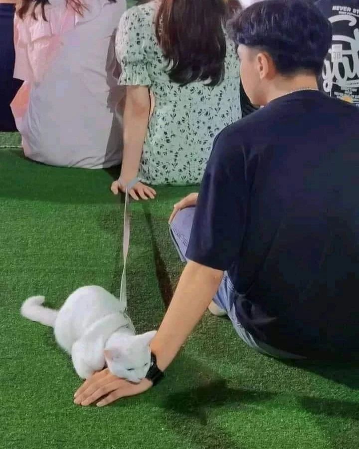 kompak sama hewan kesayangan lucu © Instagram