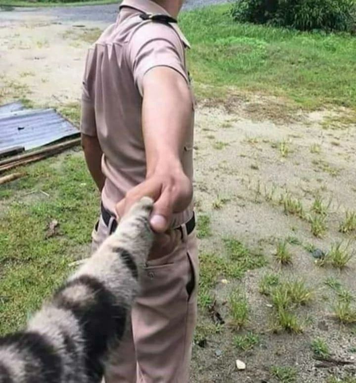 kompak sama hewan kesayangan lucu © Instagram