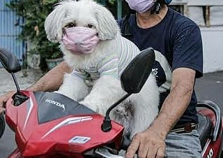 kompak sama hewan kesayangan lucu © Instagram