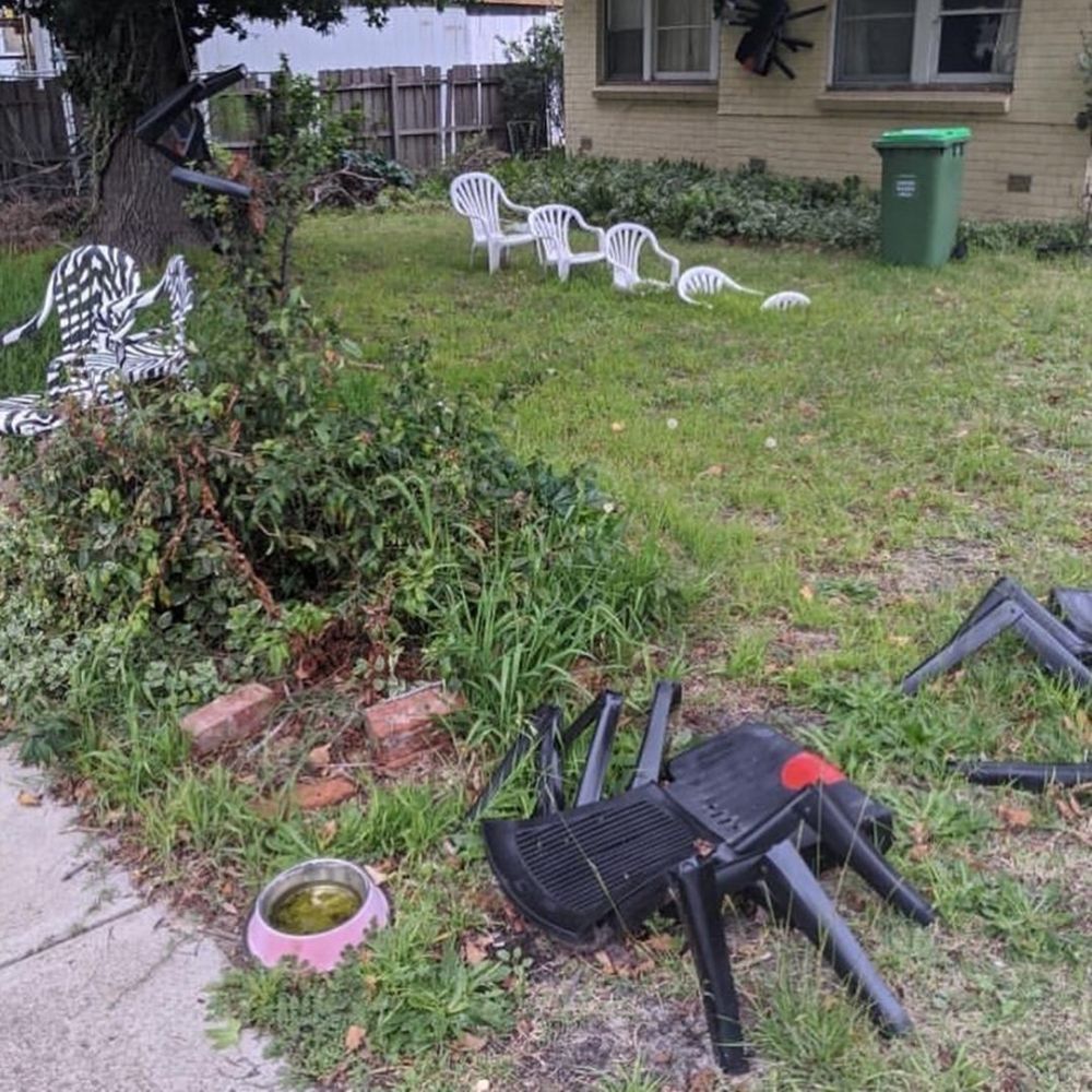 dekorasi taman nyeleneh © berbagai sumber