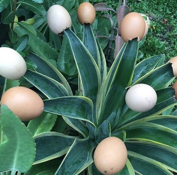 dekorasi taman nyeleneh © berbagai sumber