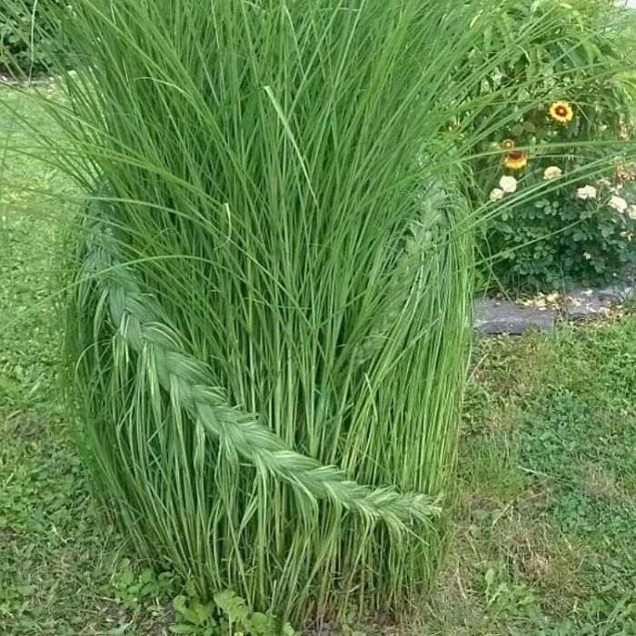 dekorasi taman nyeleneh © berbagai sumber