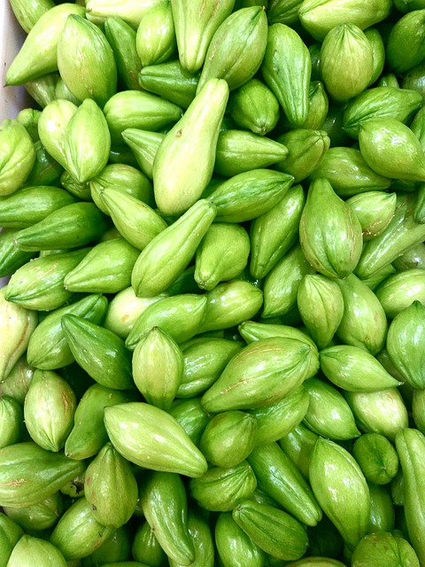 Konsumsi 10 sayuran ini bisa bantu mencegah penuaan dini secara alami