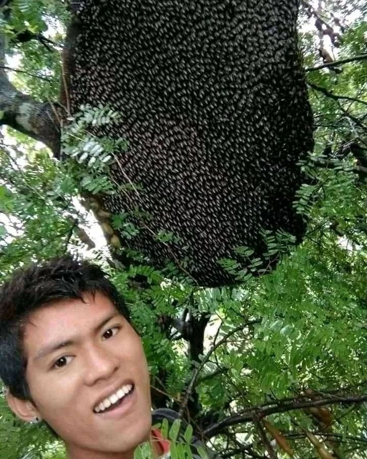 sedetik sebelum kena apes ngagetin © berbagai sumber sedetik sebelum kena apes ngagetin © berbagai sumber