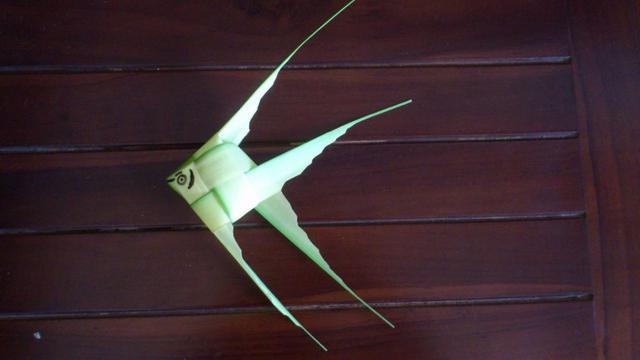 bentuk ketupat antimainstream © berbagai sumber