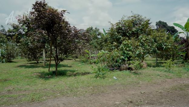 kebun milik eks menteri era gus dur berbagai sumber