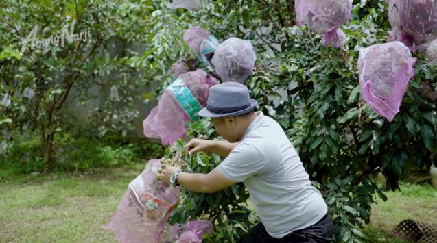 kebun milik eks menteri era gus dur berbagai sumber