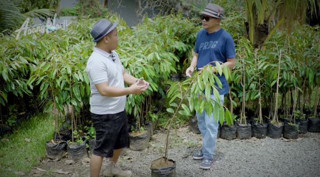 kebun milik eks menteri era gus dur berbagai sumber kebun milik eks menteri era gus dur berbagai sumber