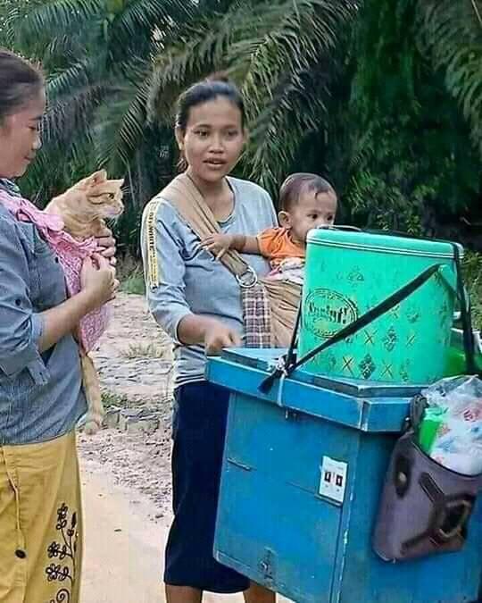 kucing diperlakukan seperti bayi © berbagai sumber kucing diperlakukan seperti bayi © berbagai sumber