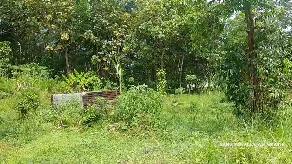 rumah Isye Sumarni terbengkalai © berbagai sumber