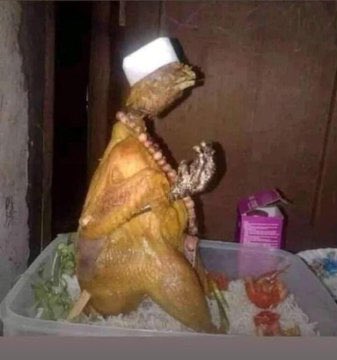 masakan ayam jadi kocak kelihatannya © berbagai sumber