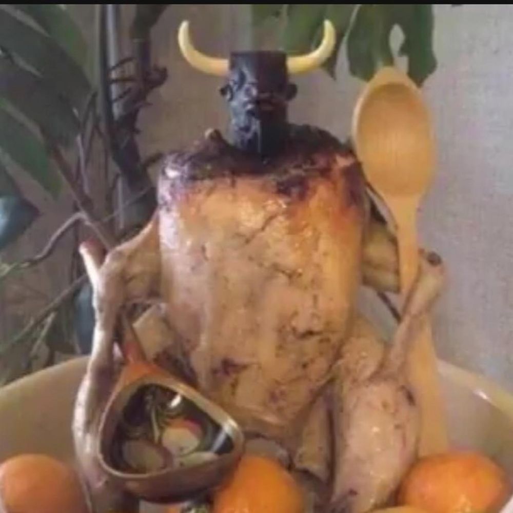 masakan ayam jadi kocak kelihatannya © berbagai sumber