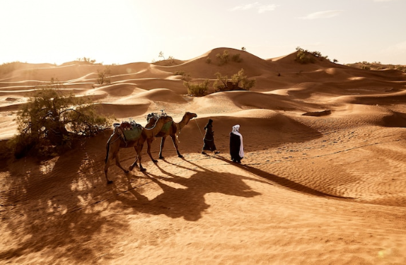 Arti mimpi tersesat menurut primbon © 2022 berbagai sumber