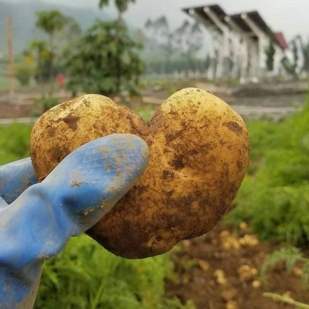 Momen baper saat kerja Berbagai sumber