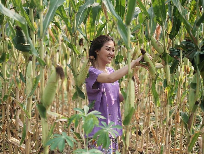 gaya penyanyi saat berkebun © instagram gaya penyanyi saat berkebun © instagram