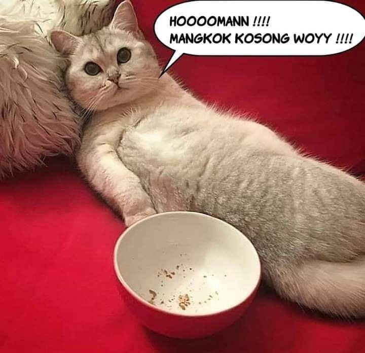 majikan dan hewan peliharaan tukar peran Berbagai sumber majikan dan hewan peliharaan tukar peran Berbagai sumber