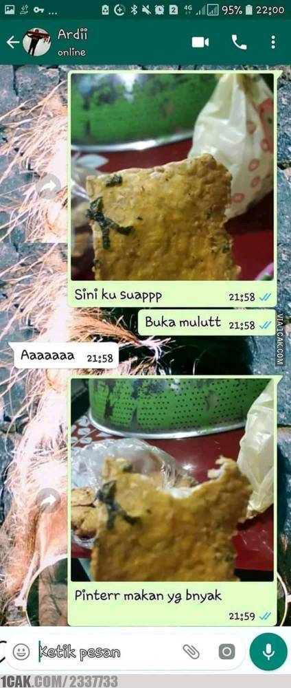 Momen lucu pejuang LDR © berbagai sumber Momen lucu pejuang LDR © berbagai sumber