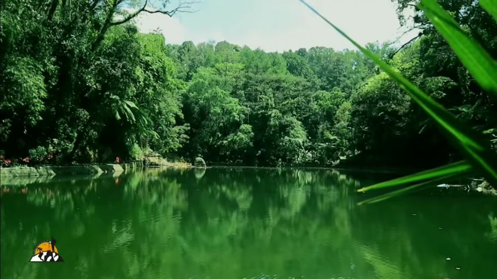 Rowo Bayu lokasi KKN di Desa Penari © berbagai sumber Rowo Bayu lokasi KKN di Desa Penari © berbagai sumber